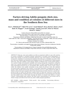 Factors driving Adélie penguin chick size, the Southern Ross Sea