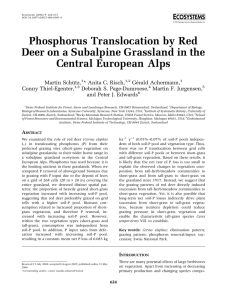 Phosphorus Translocation by Red Deer on a Subalpine Grassland in the