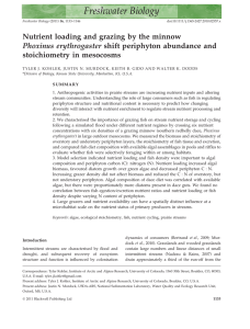 Nutrient loading and grazing by the minnow stoichiometry in mesocosms