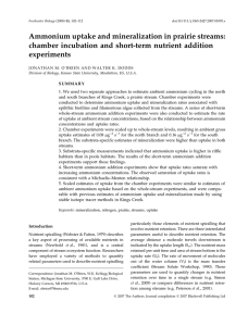 Ammonium uptake and mineralization in prairie streams: