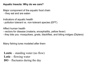 Aquatic Insects: Why do we care? Indicators of aquatic health