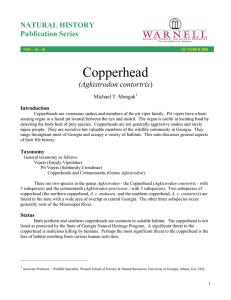 Copperhead NATURAL HISTORY Publication Series