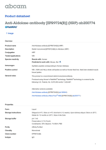 Anti-Aldolase antibody [EPR9724(B)] (HRP) ab200774 Product datasheet 1 Image