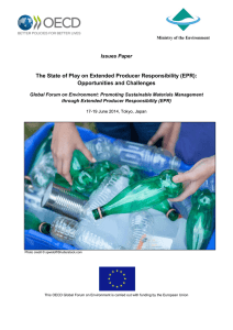 The State of Play on Extended Producer Responsibility (EPR): Issues Paper