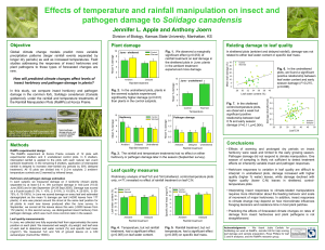 Effects of temperature and rainfall manipulation on insect and Solidago canadensis Objective