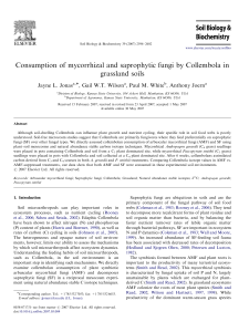 Consumption of mycorrhizal and saprophytic fungi by Collembola in grassland soils