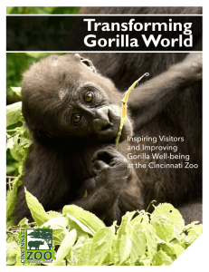 Transforming Gorilla World Inspiring Visitors and Improving