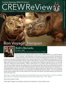 Bon Voyage, Harapan Roth’s Remarks