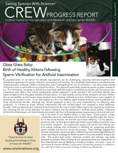 CREW PROGRESS REPORT Glass Glass Baby: Birth of Healthy Kittens following