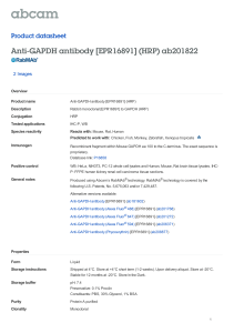 Anti-GAPDH antibody [EPR16891] (HRP) ab201822 Product datasheet 2 Images Overview
