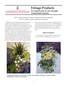 Foliage Products An Opportunity for the Georgia Ornamental Industry