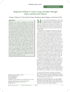 M Response	of	Maize	to	Cover	Crops,	Fertilizer	Nitrogen Rates,	and	Economic	Return George	Y.	Mahama,	P.	V.	Vara	Prasad,*	Kraig	L.	Roozeboom,	Jesse	B.	Nippert,	and	Charles	W.	Rice