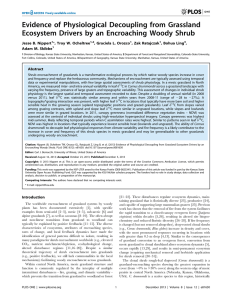 Evidence of Physiological Decoupling from Grassland Jesse B. Nippert *