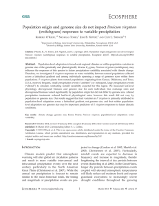 Population origin and genome size do not impact Panicum virgatum