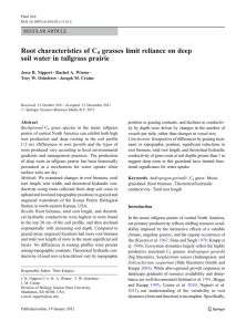 Root characteristics of C grasses limit reliance on deep REGULAR ARTICLE