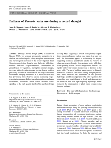 Patterns of Tamarix water use during a record drought