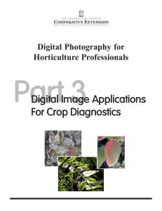 Part 3 Digital Image Applications For Crop Diagnostics Digital Photography for