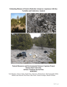 Juniperus virginiana Variables and Understory Analysis