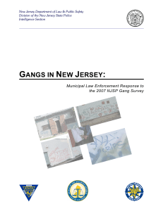 New Jersey Department of Law &amp; Public Safety Intelligence Section