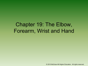 Chapter 19: The Elbow, Forearm, Wrist and Hand