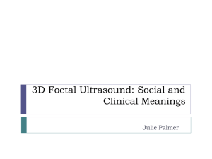 3D Foetal Ultrasound: Social and Clinical Meanings Julie Palmer