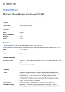 Human Glucokinase peptide ab101298 Product datasheet Overview Product name