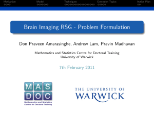 Brain Imaging RSG - Problem Formulation 7th February 2011