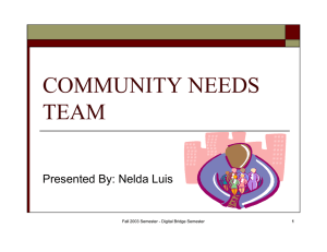 COMMUNITY NEEDS TEAM Presented By: Nelda Luis