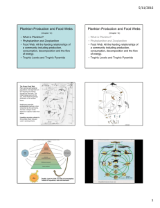 5/11/2016 Plankton Production and Food Webs