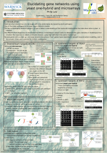 Elucidating gene networks using yeast one-hybrid and microarrays Philip Law 1. Introduction