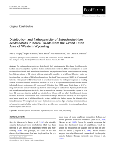 Distribution and Pathogenicity of Batrachochytrium Area of Western Wyoming