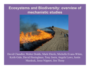 Ecosystems and Biodiversity: overview of mechanistic studies