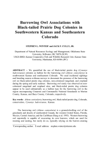 Burrowing  Owl  Associations  with Southwestern Kansas and Southeastern