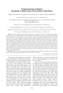 Foraging Ecology of Migrant A E. A