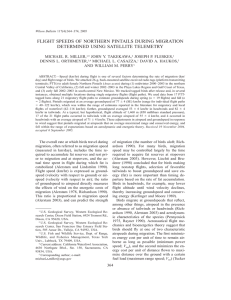 FLIGHT SPEEDS OF NORTHERN PINTAILS DURING MIGRATION DETERMINED USING SATELLITE TELEMETRY