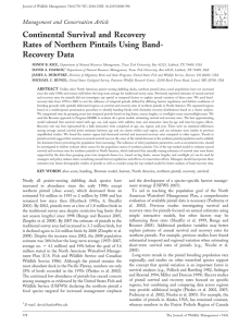 Continental Survival and Recovery Rates of Northern Pintails Using Band- Recovery Data