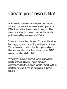 Create your own DNA!
