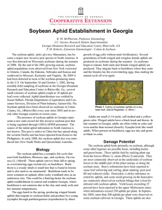 Soybean Aphid Establishment in Georgia