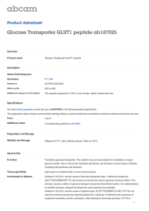 Glucose Transporter GLUT1 peptide ab187025 Product datasheet Overview Product name