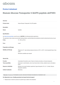 Human Glucose Transporter 5 GLUT5 peptide ab97493 Product datasheet Overview Product name