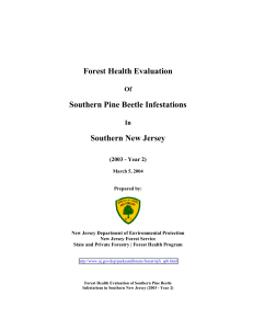 Forest Health Evaluation Southern Pine Beetle Infestations Southern New Jersey Of