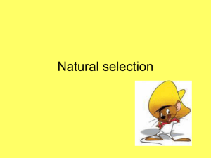 Natural selection