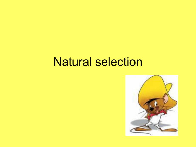 Natural Selection