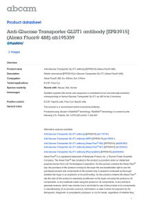 Anti-Glucose Transporter GLUT1 antibody [EPR3915] (Alexa Fluor® 488) ab195359