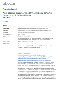 Anti-Glucose Transporter GLUT1 antibody [EPR3915] (Alexa Fluor® 647) ab195020