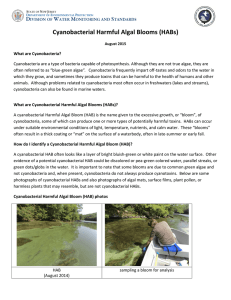 Cyanobacterial Harmful Algal Blooms (HABs)  