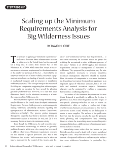 T Scaling-up the Minimum Requirements Analysis for Big Wilderness Issues