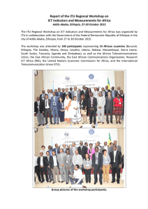 Report of the ITU Regional Workshop on