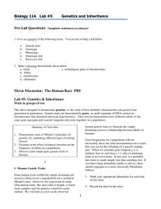 Biology 11A   Lab #5 Genetics and Inheritance Pre-Lab	Questions