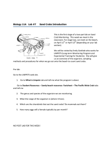 Biology 11A   Lab #7   Sand Crabs... This	is	the	first	stage	of	a	two-part	lab	on	Sand Crab	Monitoring.		This	week	we	meet	in	the